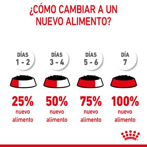 195 g Royal Canin Starter Mommy & Baby mousse latas para perros, , large Imagen numero 6